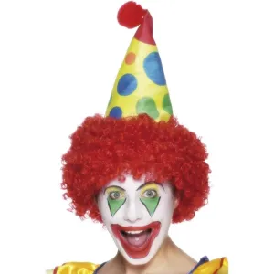 Clown Hat with Hair